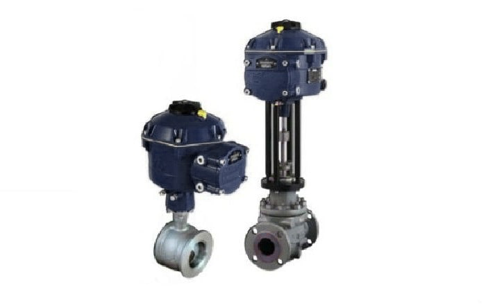 Control and Globe Valves