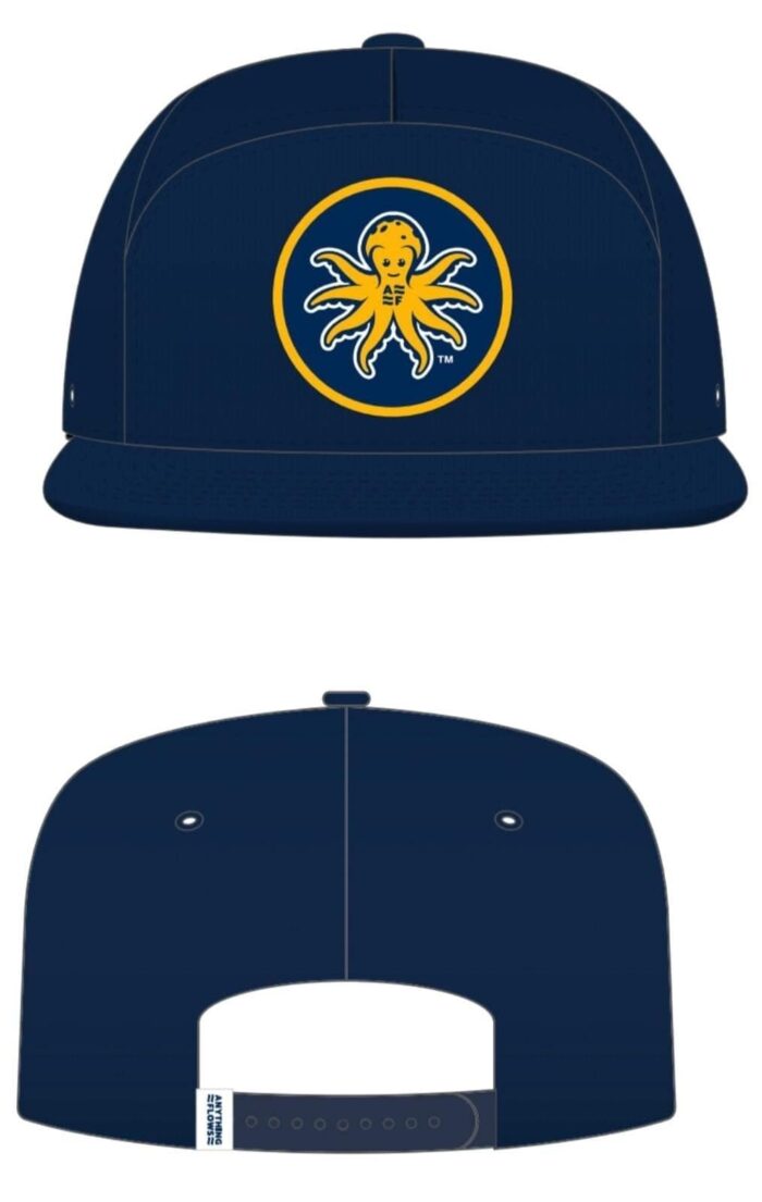 Gorra Anything Flows TM